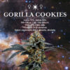 Semillas ZkitTlez - Image 4