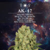Semillas ZkitTlez - Image 3