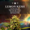 Semillas ZkitTlez - Image 2